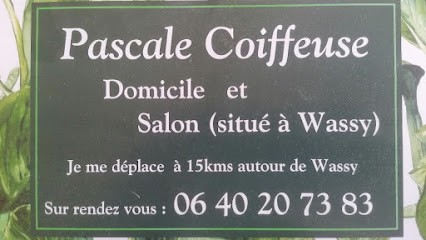 Coiffeuse à domicile Pascale, Coiffeur à Domicile à Wassy